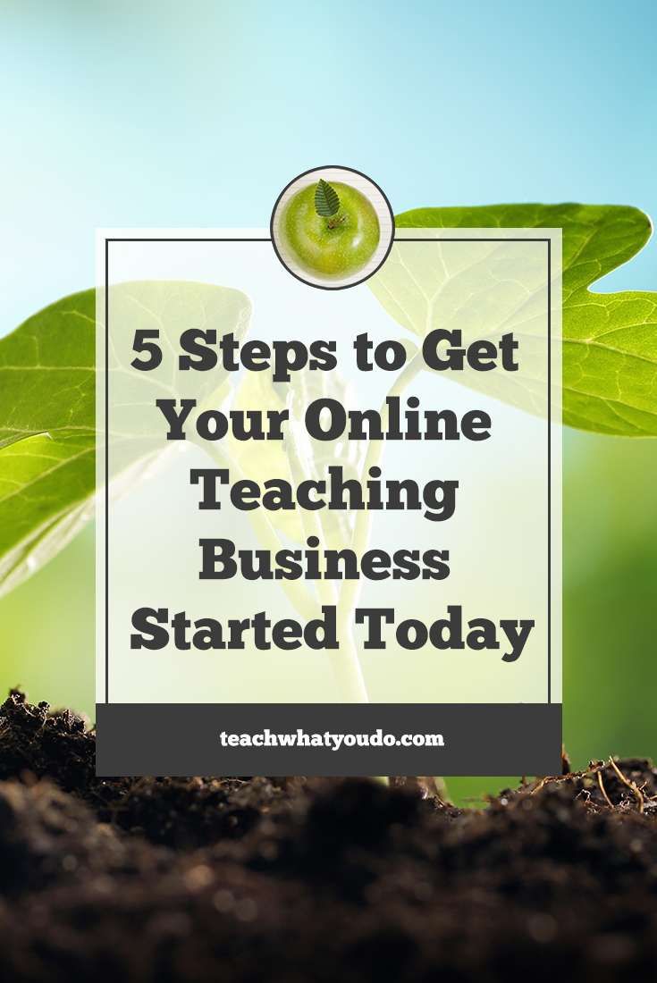 5 Steps to Get Your Own Online Teaching Business Started ...