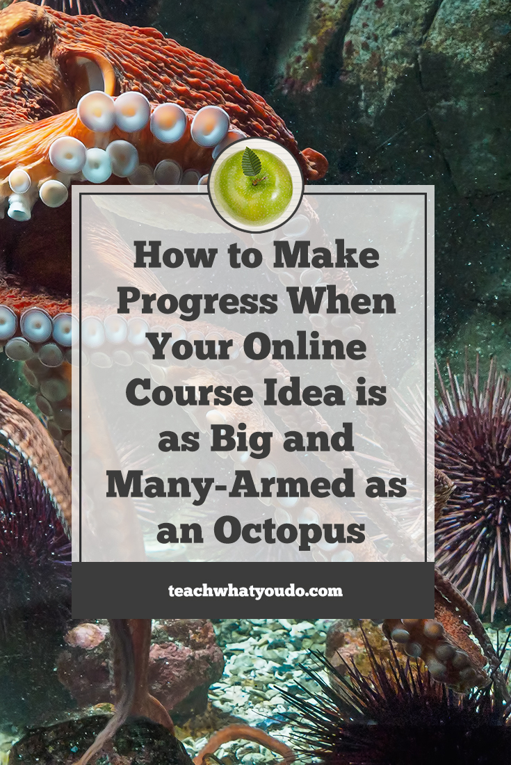 How to Make Progress When Your Online Course Idea is as Big and Many-Armed as an Octopus