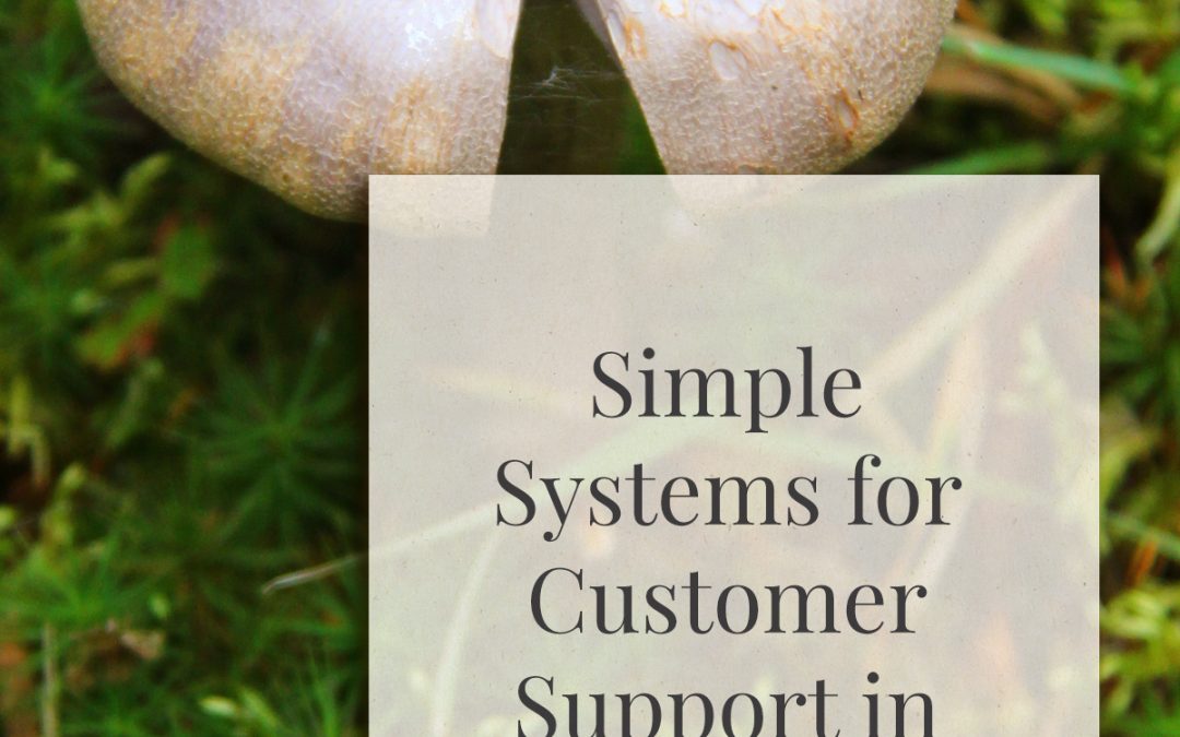 Simple Systems for Customer Support in Your Online Business