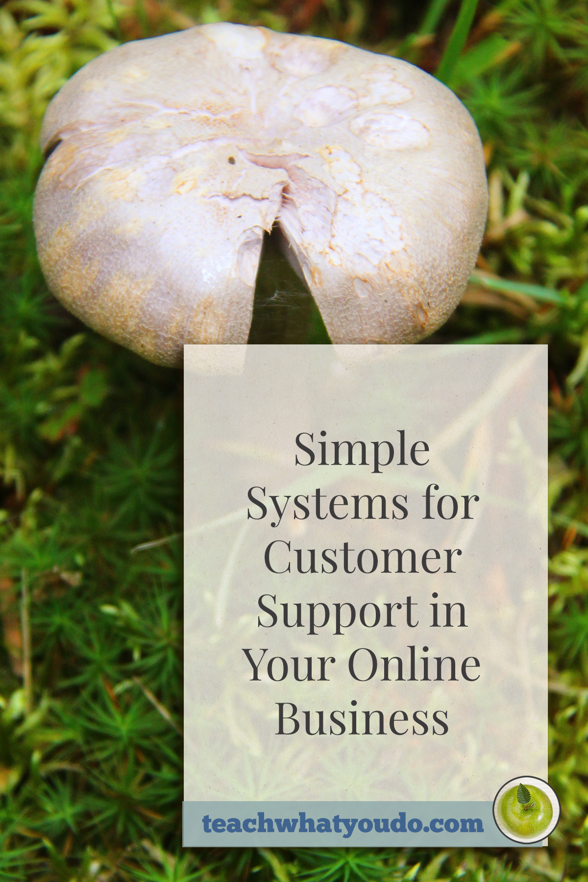 Simple Systems for Customer Support in Your Online Business - Teach ...